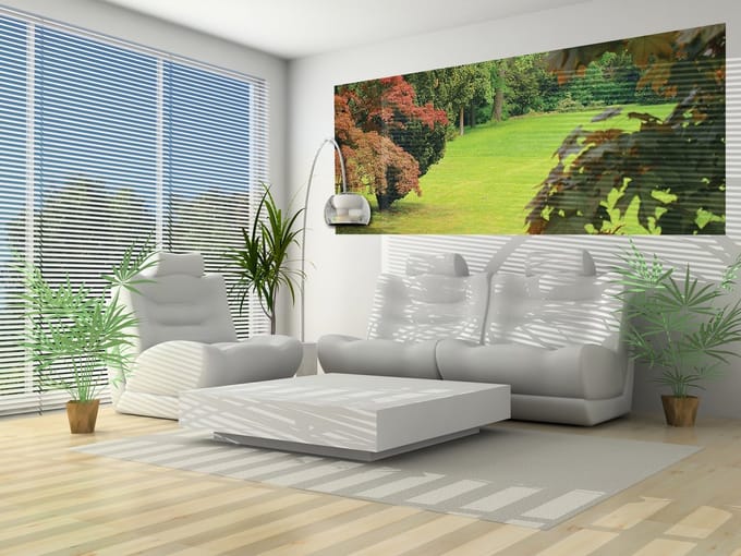 Forest Nature Photo Wallcovering