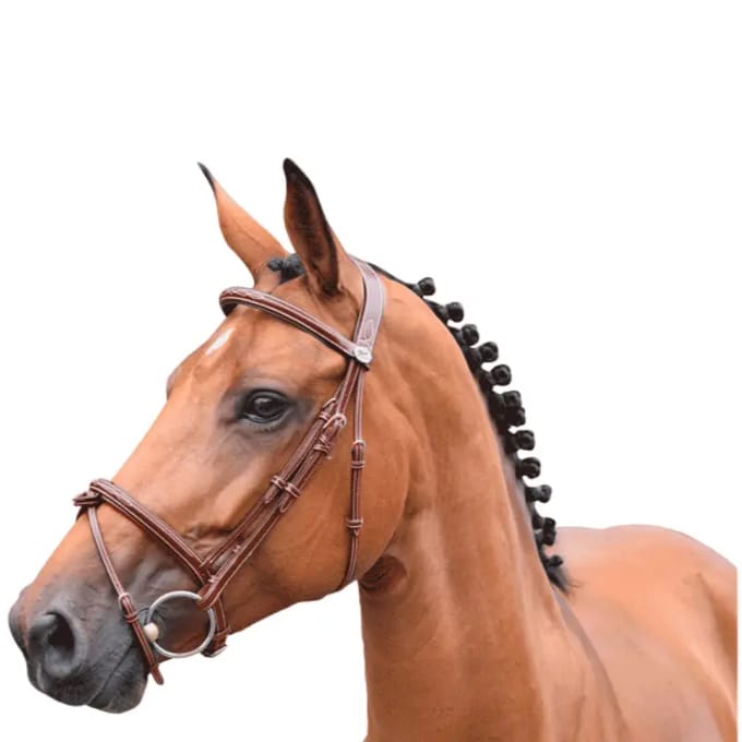 Engels gecombineerd hoofdstel met anatomische neusriem Jump'In Thursday