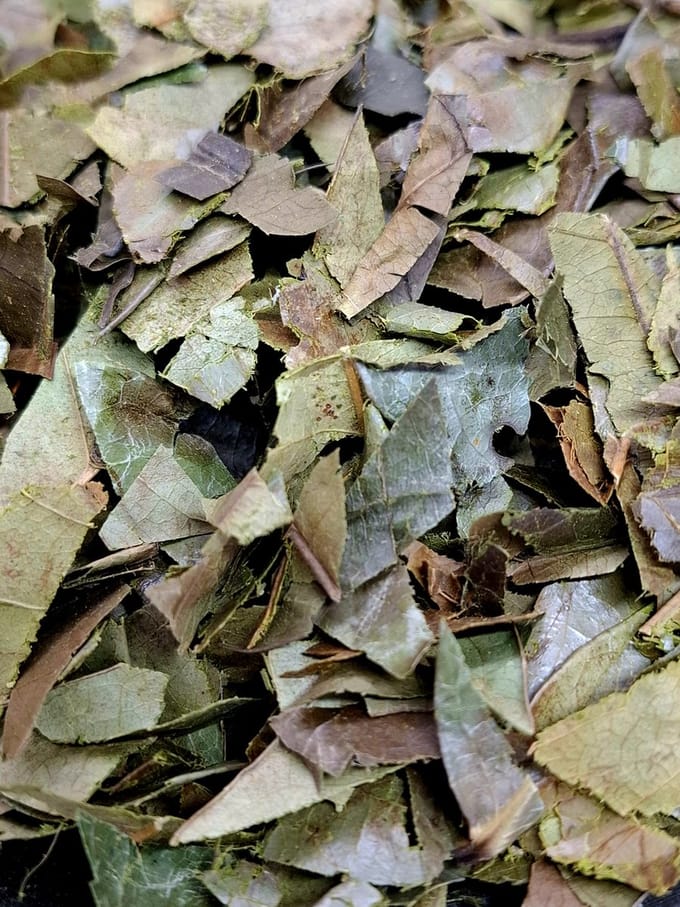 Bos Zuurzak Thee 35g