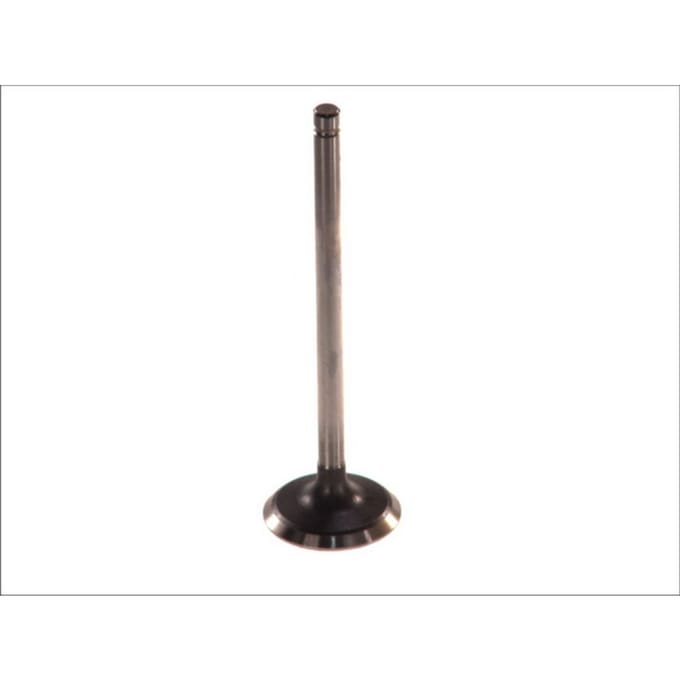 Inlaatklep PARADOWSCY PDAE005