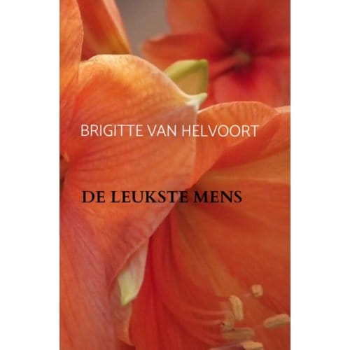 De Leukste Mens - Brigitte van Helvoort