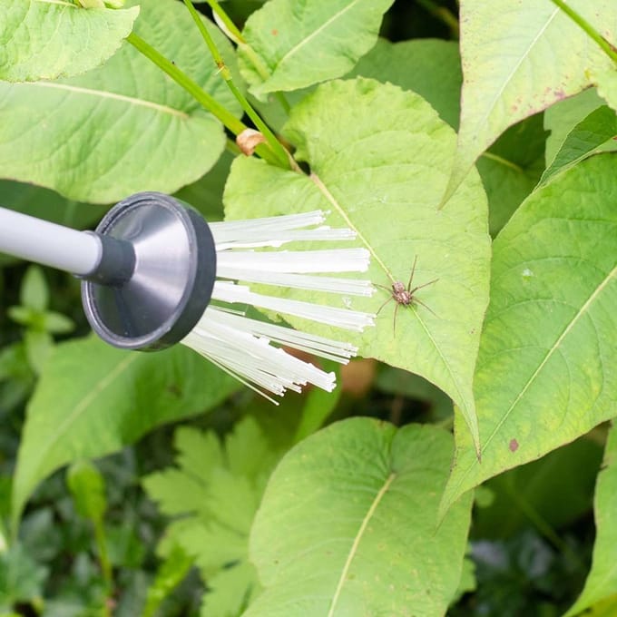 CJ Wildlife - Insectenvanger met borstel - Spinnenvanger