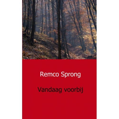 Vandaag Voorbij - Remco Sprong
