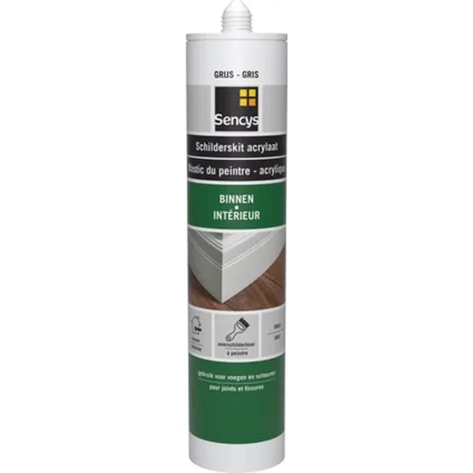 Sencys Schilderskit Grijs 310ml