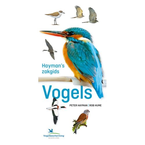 Hayman's Zakgids Vogels - Peter Hayman