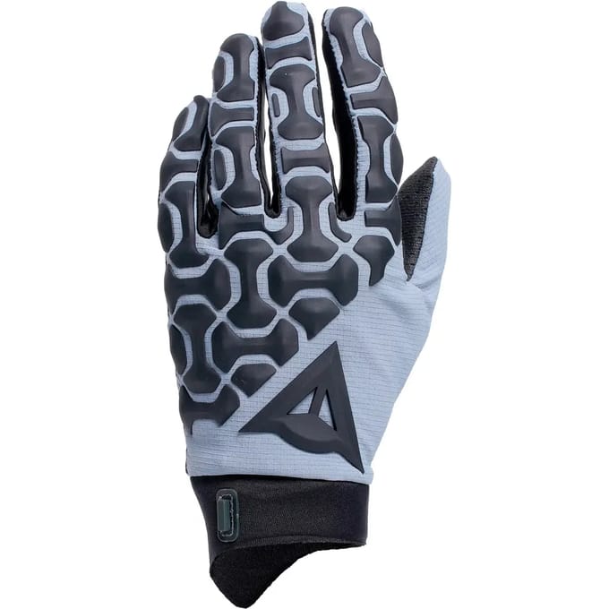 Lange handschoenen Dainese HGR Ext