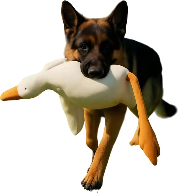 Eend 50 CM - Knuffel - Hond - Hondenspeelgoed - Kado - Hondenknuffel
