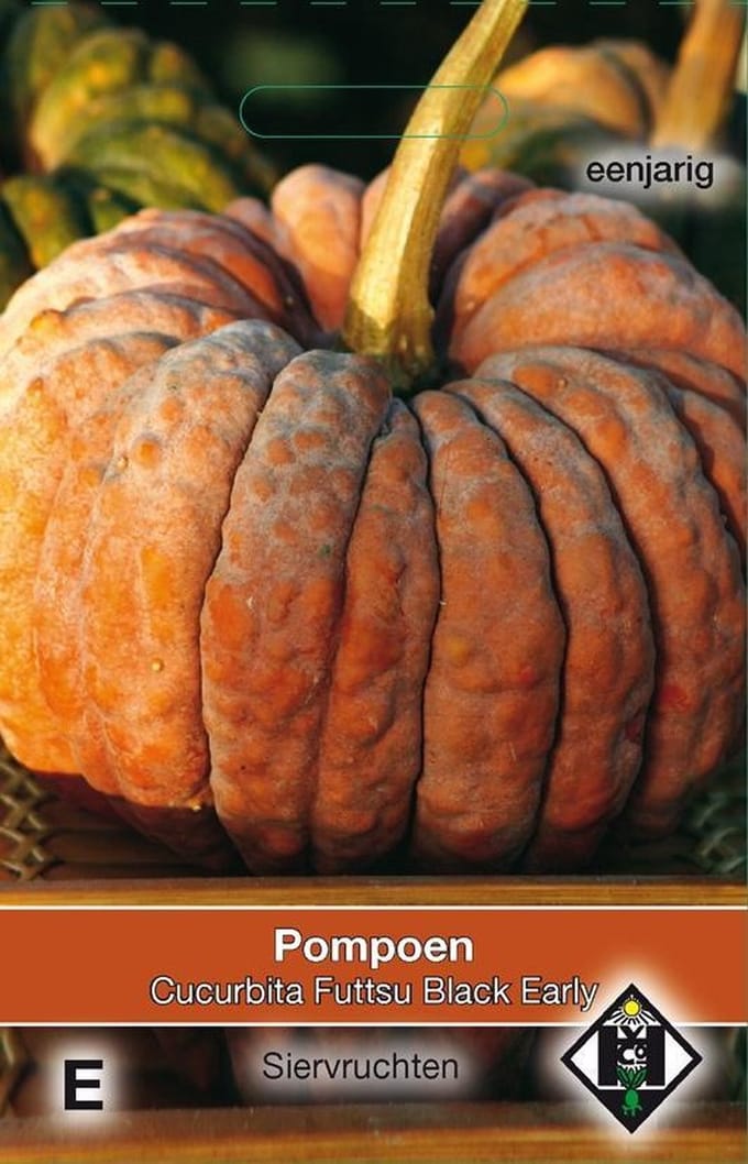 2 stuks Van Hemert & Co Cucurbita moschata Futtsu Black Early