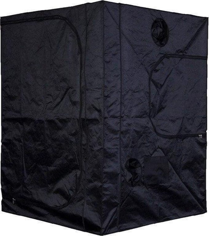 Mammoth Pro 150+ Kweektent 150x150x200 cm