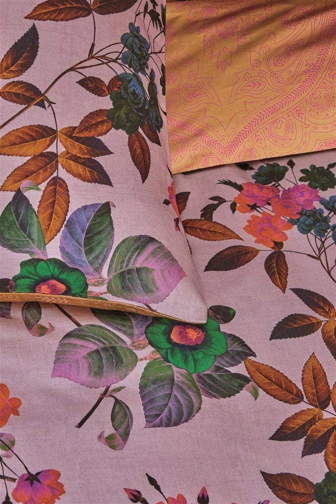 Oilily -