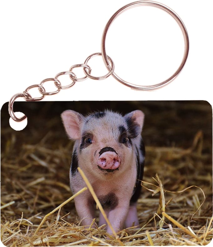 Sleutelhanger 6x4cm - Varkentje Roze/Zwart - Op Stro