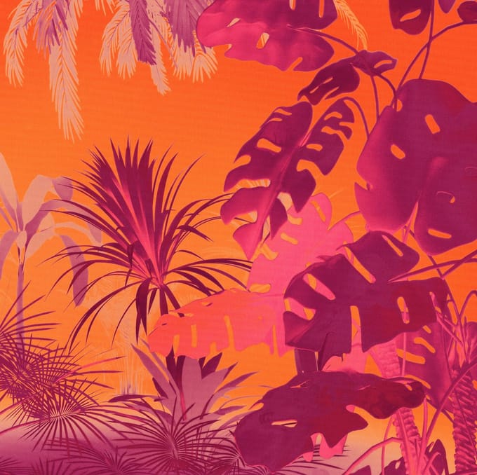 Fotobehang - Funky Jungle 250x250cm - Vliesbehang
