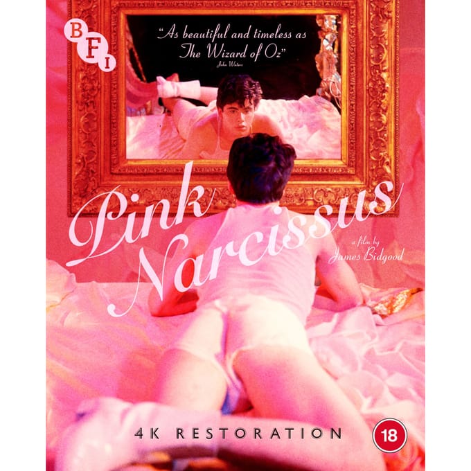 Pink Narcissus - blu-ray - Import