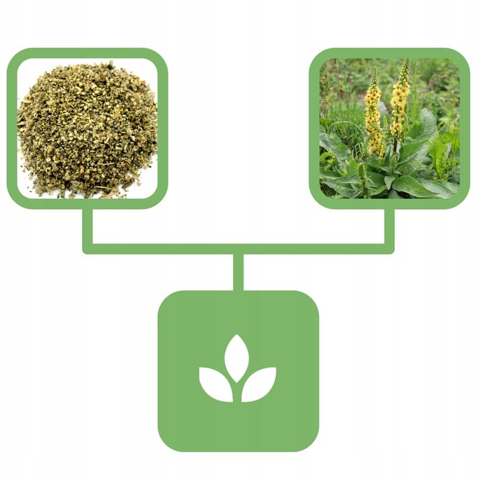 Toorts Kruid 500 G Natuurwinkel