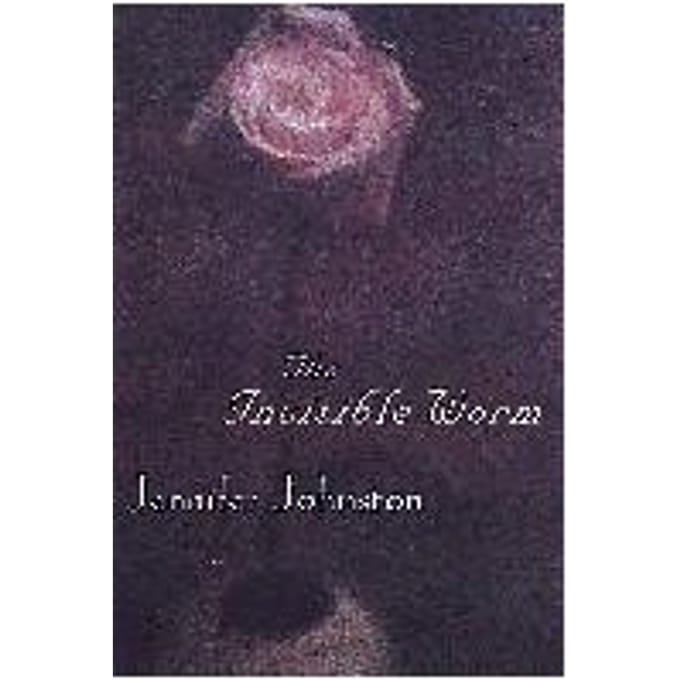 The Invisible Worm - Jennifer Johnston