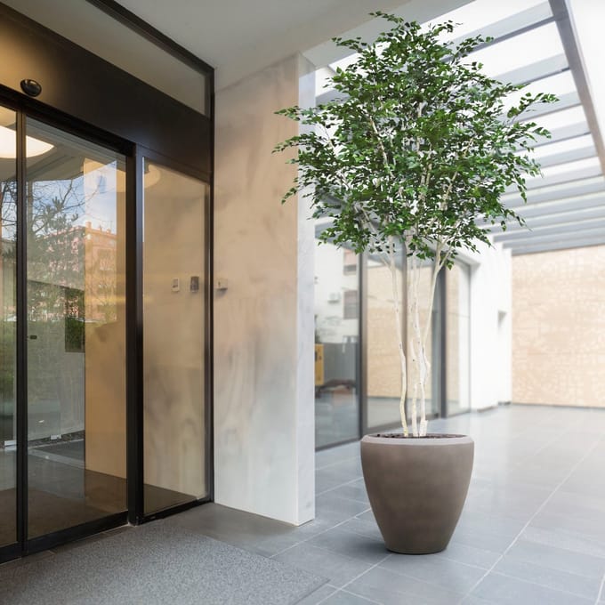 Kunst Berkenboom XXL 350cm Deluxe