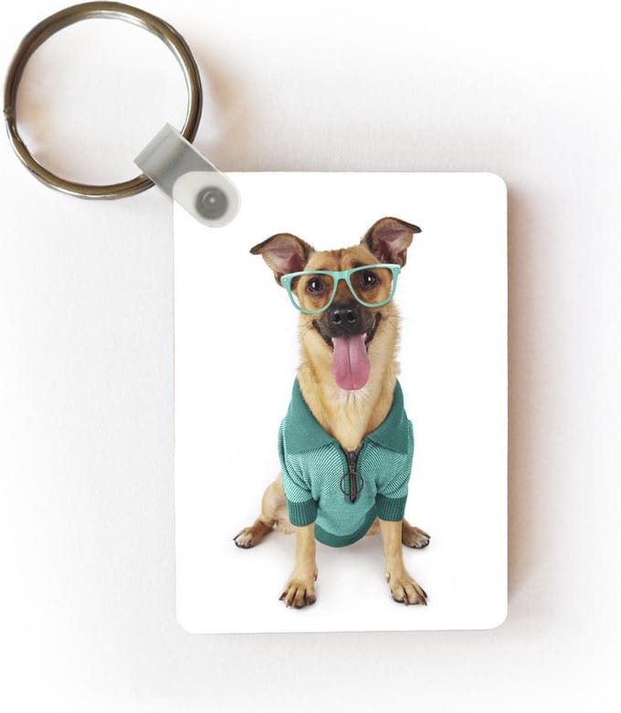 Sleutelhanger - Hond - Bril - Shirt - Hipster - Uitdeelcadeautjes - Plastic