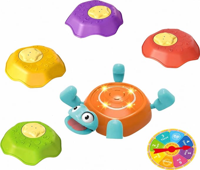 Eco Toys Schildpad Balansstenen met Licht en Geluid