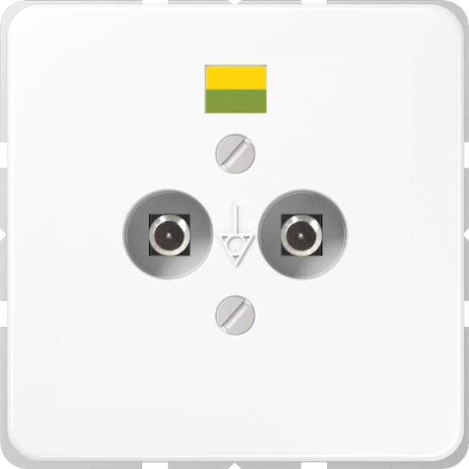 Jung CD500 Potentiaalvereffeningsstopcontact - CD565-2NWW