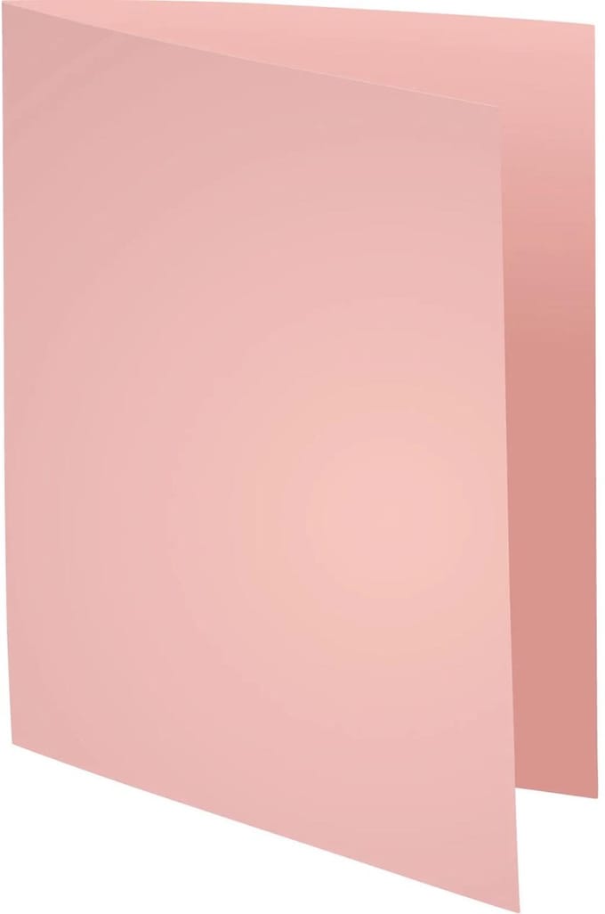 Exacompta 5x SUPER 60 - Pak van 250 inlegmappen - 22x31cm voor A4 - Roze - 850003E
