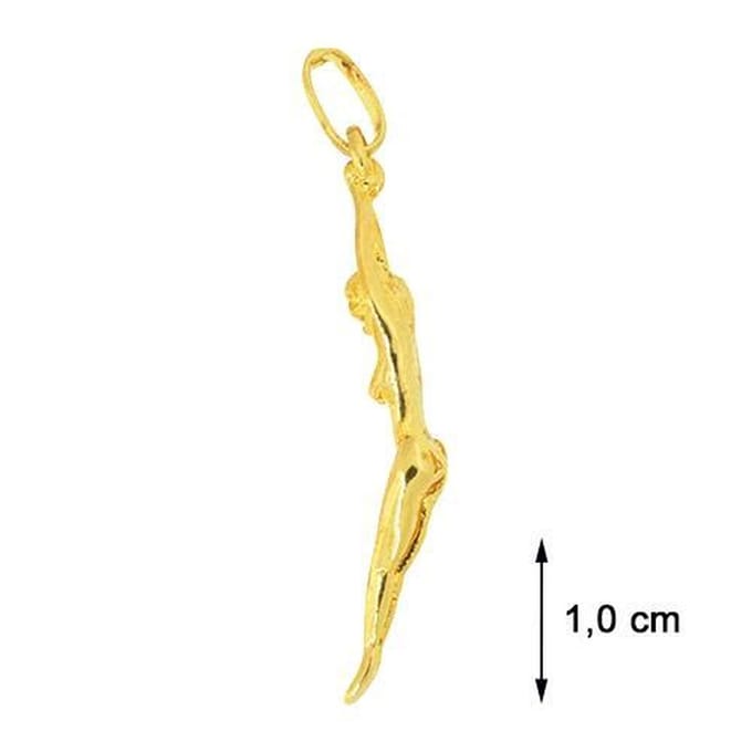 Blinx Jewels Vergulden Hanger Duikster