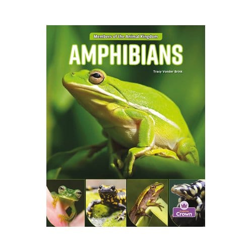 Amphibians - Tracy Vonder Brink