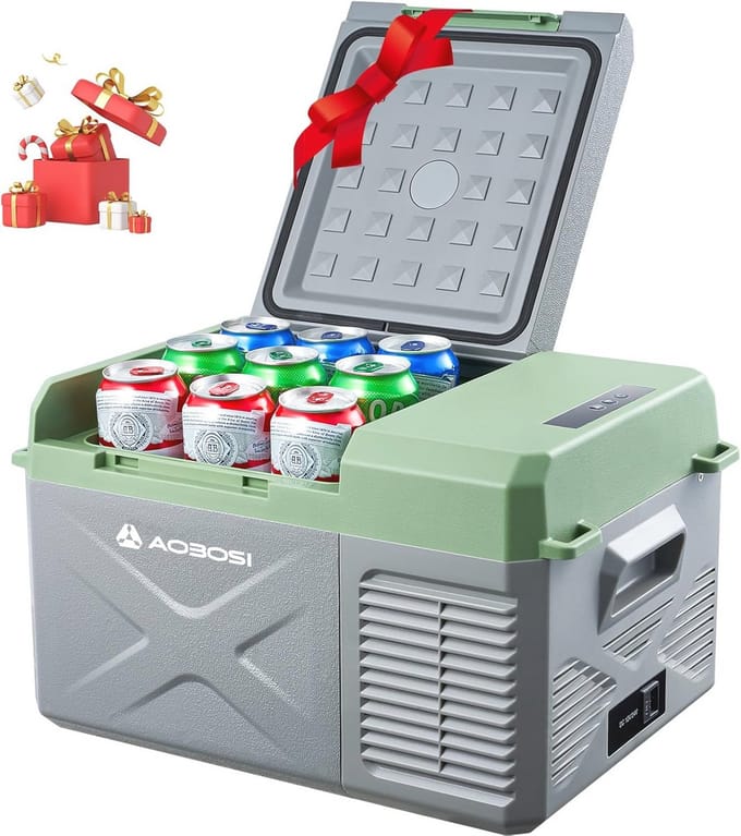 Mini-koelbox 10L voor auto, vrachtwagen en camper - Elektrische compressor tot -20°C