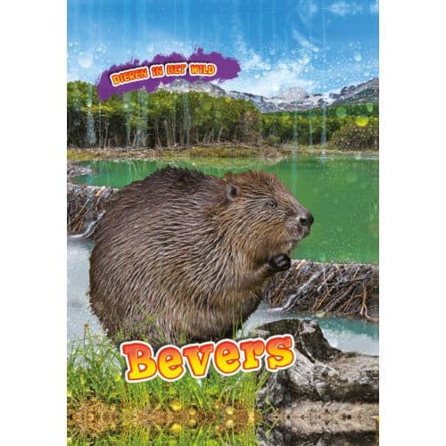 Bevers - Dieren In Het Wild - Rachel Koestler-Grack