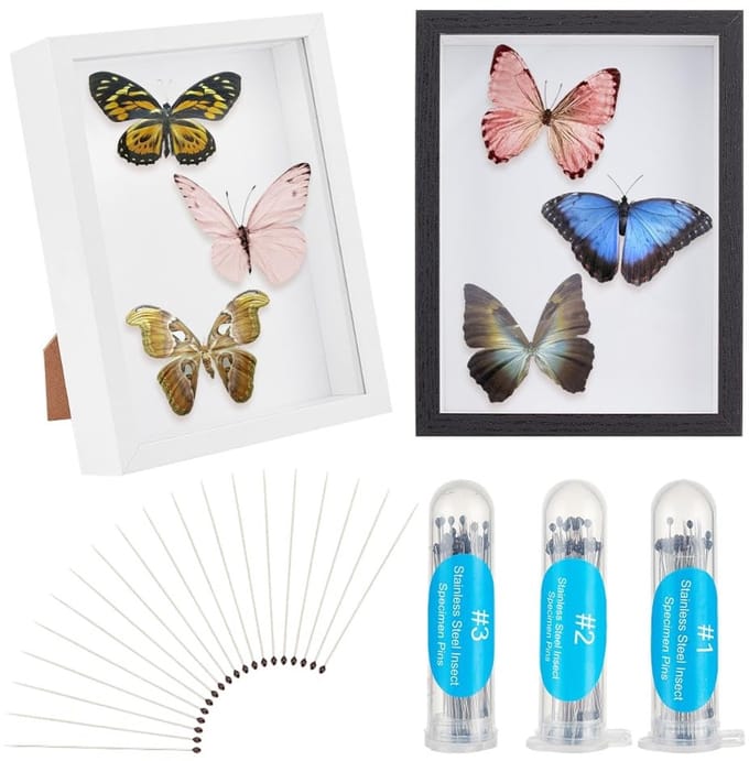 Dailygoody - Insectenvitrine - Insectenverzameling - voor vlinders
