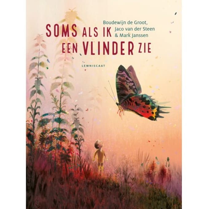 Soms Als Ik Een Vlinder Zie - Boudewijn de Groot