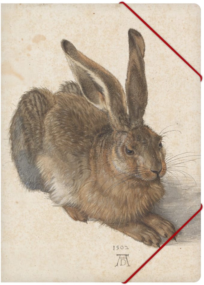 Lanzfeld Dürer - Documentenmap A4 - Met Elastiek - Young Hare - A4-formaat