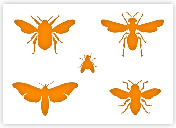 QBIX Insecten Sjabloon A5 Formaat Kunststof - Wesp rechtsonder is 6cm breed