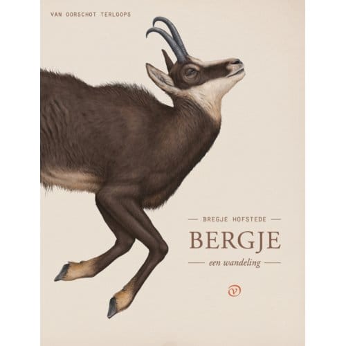 Bergje - Terloops - Bregje Hofstede