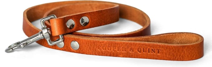 Cooper & Quint No Fuss Hondenriem Leer- Camel - Smal - 105cm - Zilver