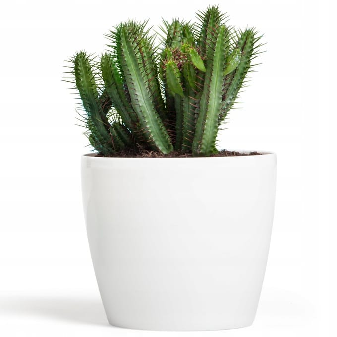 Glanzende Witte Pot, Diameter 36 cm, Hoogte 31,6 cm