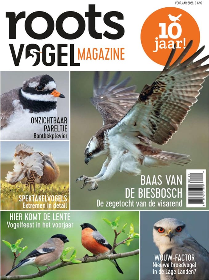 Roots Vogelmagazine special - voorjaarseditie - 2026