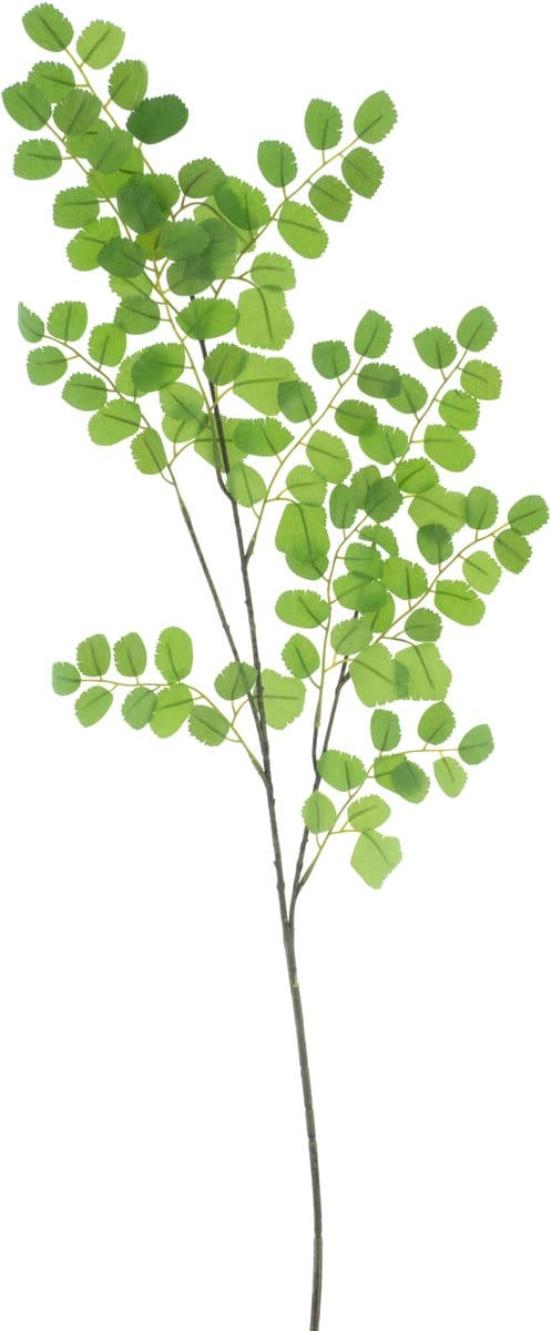 Bellatio Design Kunsttak / kunstbloem Button Leaf - 90 cm - groen - boeket opvulling bladgroen