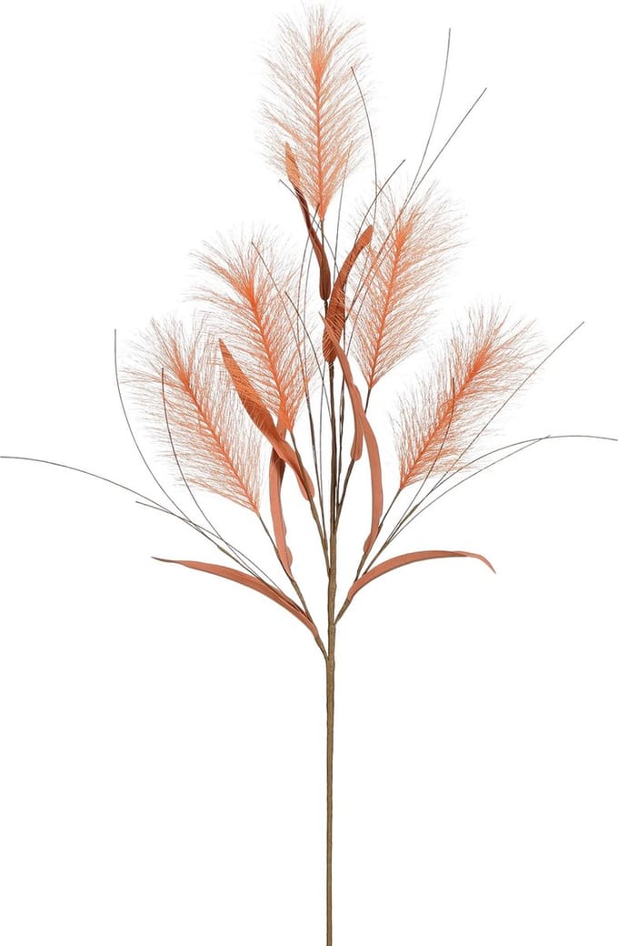 Mica-pluimgras oranje-79x25x25
