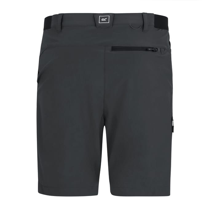 Regatta Professional Heren Lichte Insectenwerende Reisshort (As)