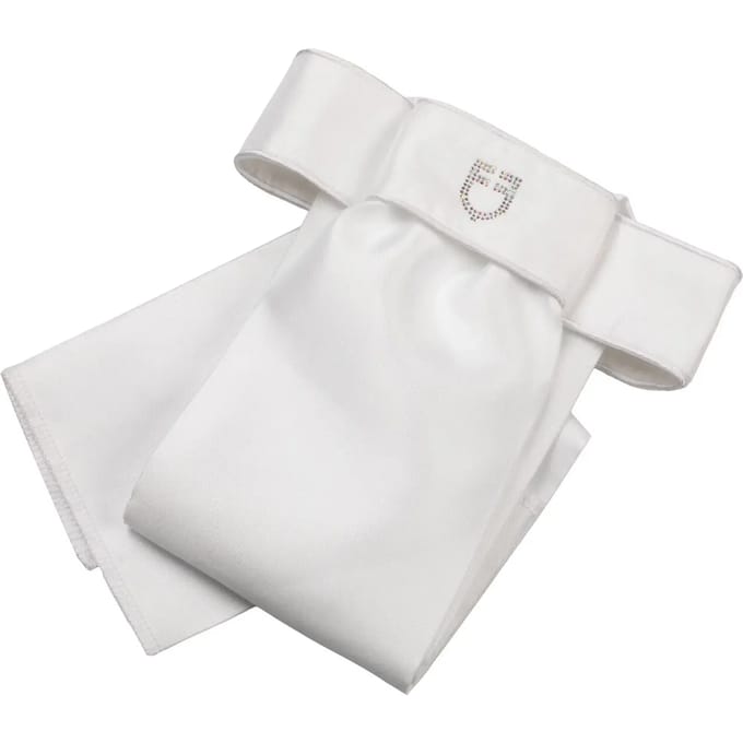 Dressuursing Equestro Lancillotto