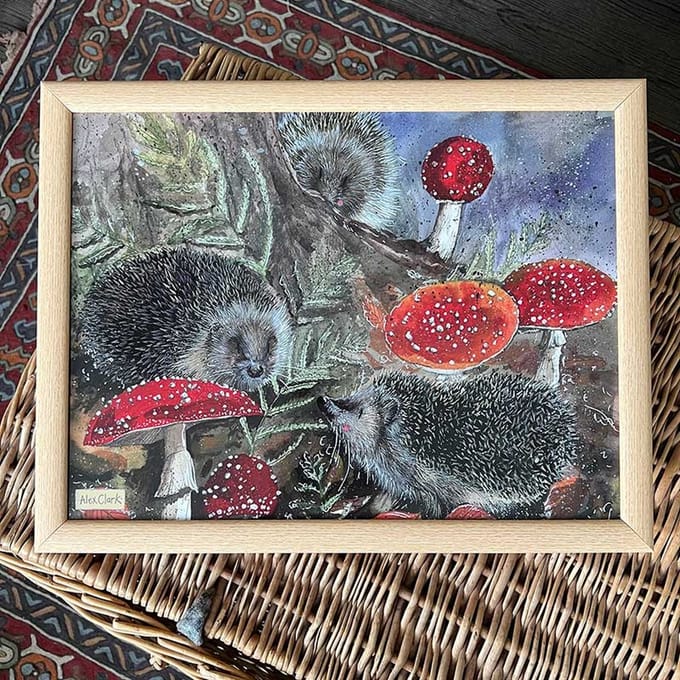 Alex Clark Schootkussen Egel ~ Hedgehogs