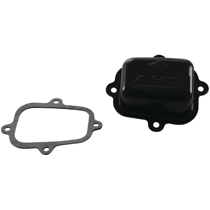 Briggs & stratton kleppendeksel met pakk