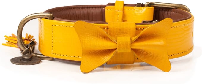 Dwam Halsband Bibi Oker - Hondenhalsband - 43-48x4 cm