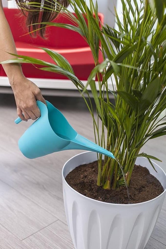 Open Gieter fushia 2L van Serinova UV-bestendig en winterhard