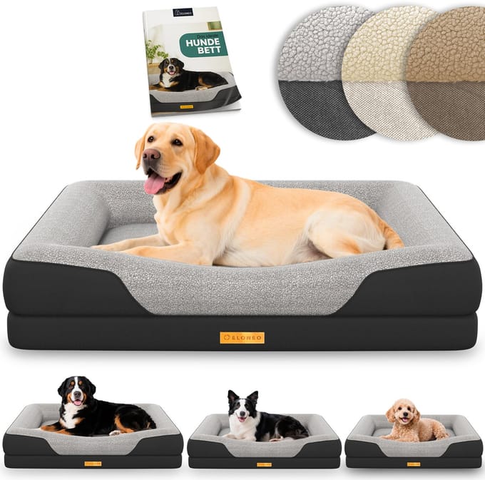 ELONEO Orthopedisch Hondenbed – L – Zwart