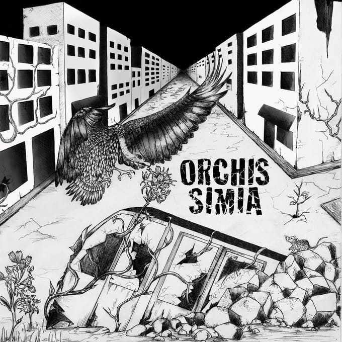 Orchis Simia - Orchis Simia (CD | LP)