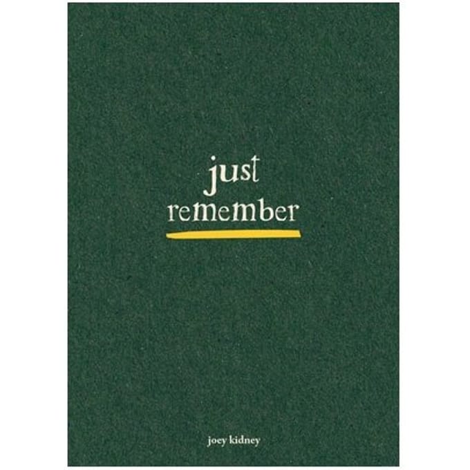 Just Remember - Joey Kidney