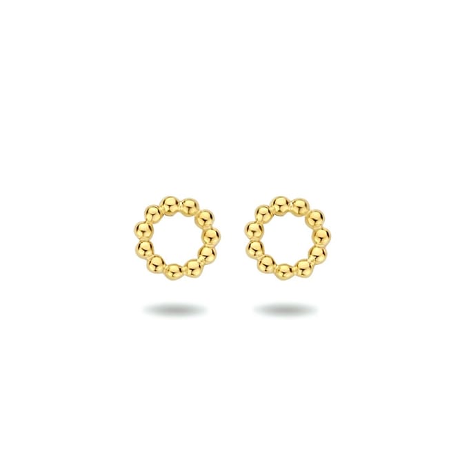 Zilver Verguld (Geel) Oorknoppen Rond 1 Micron 2103175