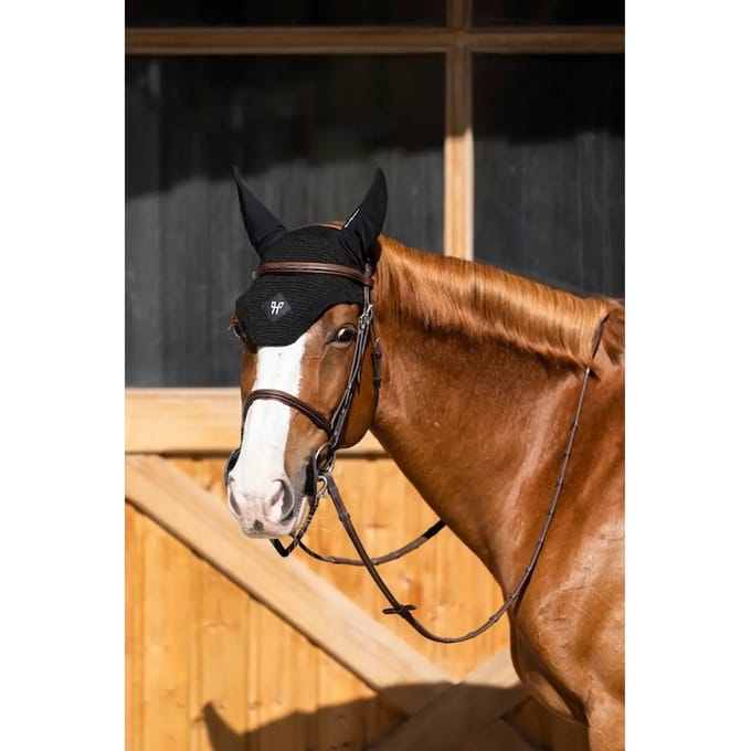 Paardenmuts Horse Pilot