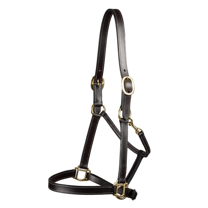 Halster voor paarden Premier Equine